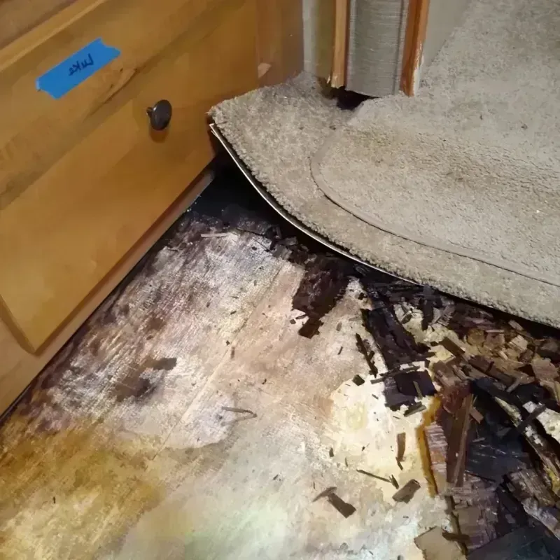 Wood Floor Water Damage in Boone, IA